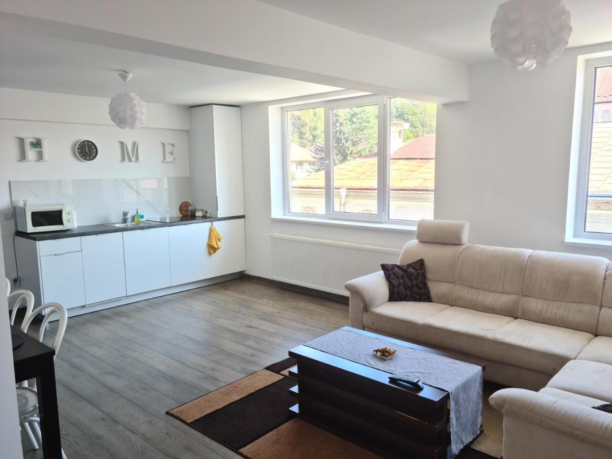 דירות וטרה דורניי Apartament In Inima Dornei מראה חיצוני תמונה